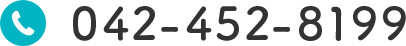 042-452-8199