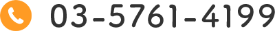 03-5761-4199